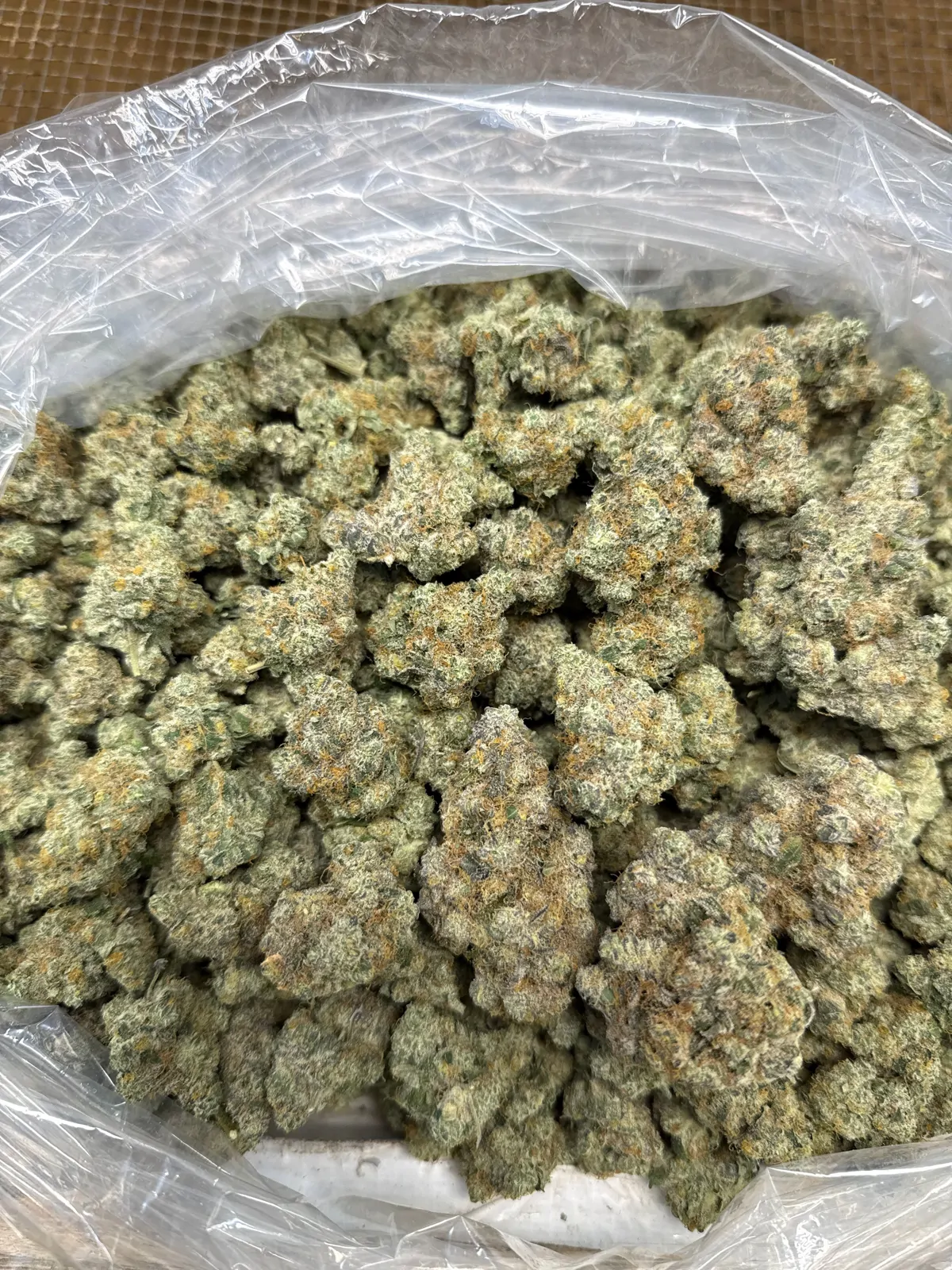 Garlic Breath Flower